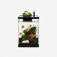 Aquarium Design Moderne